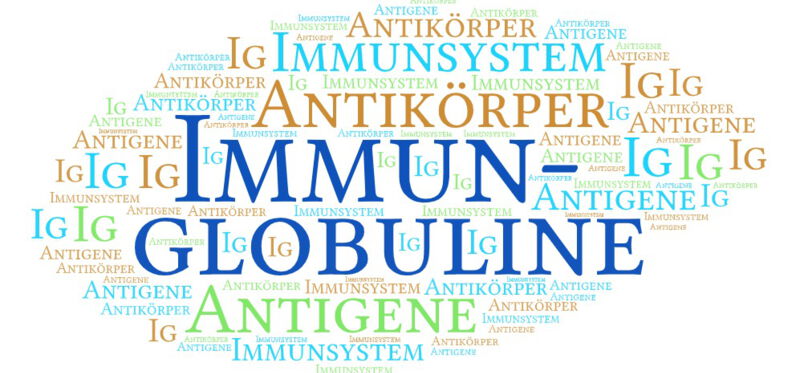 Immunglobuline haben eine Antikörperstruktur und sind in der Lage, an Antigene zu binden, so dass sie fremde Mikroorganismen wie Bakterien, Viren und andere Infektionserreger erkennen und angreifen können.