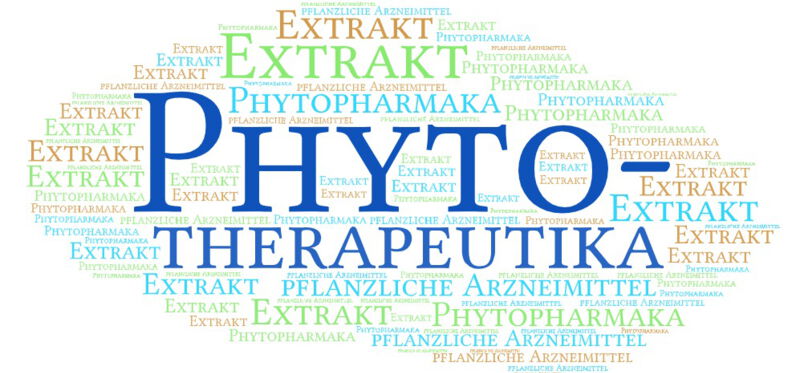 Phytotherapeutika können in verschiedenen Formen wie z. B. Arzneitees, Tinkturen, Extrakten, Tabletten, Kapseln, Ölen und Cremes angeboten werden.